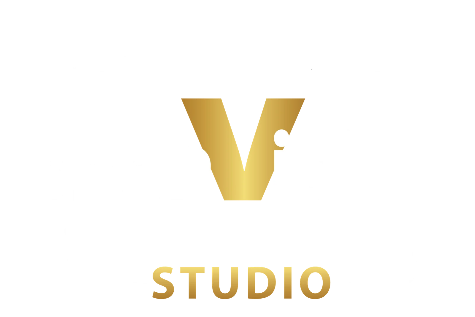 cropped-updated-snapvision-logo-1